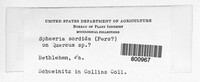 Image Associated With the Occurence